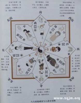章的五行属什么