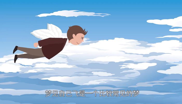 做梦在飞