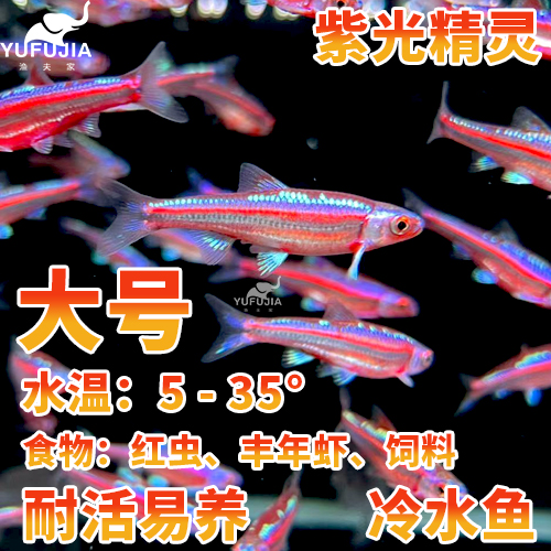 fujia鱼缸：富甲鱼缸十大品牌排行榜
