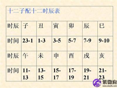 八字时辰表