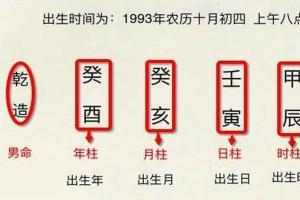 93年出生的人是什么命