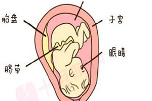 孕妇唐筛需要空腹吗