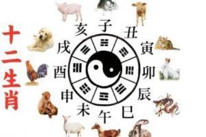 你的属相是什么