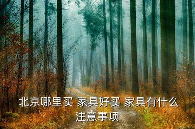 北京伊利诺伊家具中心