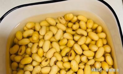 黄豆肥制作方法