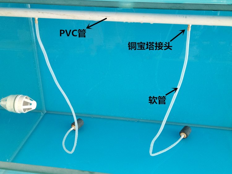 哈爾濱市呼蘭區(qū)龐平幻彩魚糧商店（哈爾濱市呼蘭區(qū)龐平幻彩魚糧商店地址） 全國水族館企業(yè)名錄