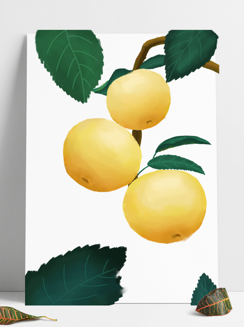 苹果树干素材厚涂写实植物水果黄金绿叶