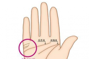 如何看手相婚姻线
