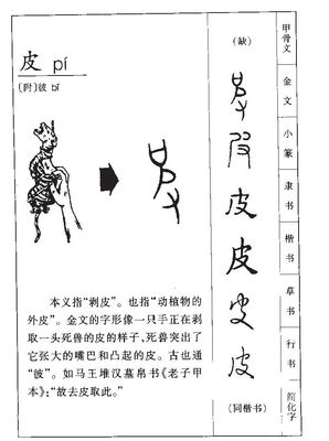 动字五行属什么