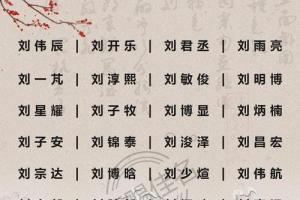 刘姓100分的男孩名字