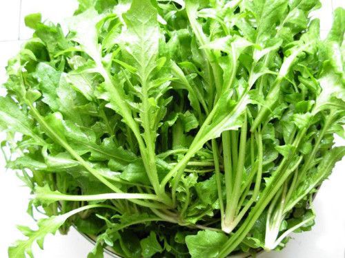 孕妇能不能吃荠菜