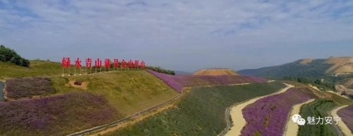 钢山花园