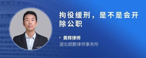 缓刑会被开除公职吗