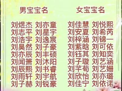 刘姓男宝宝起名