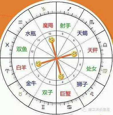 世界上有什么星座