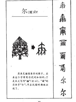 尔五行属什么