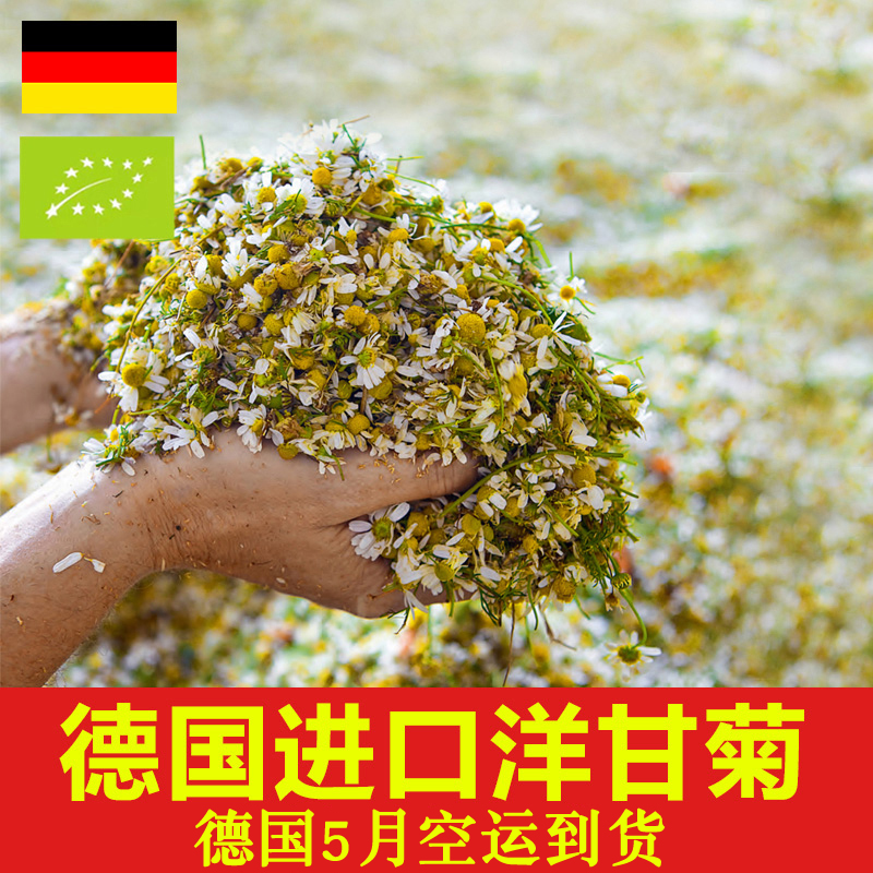 洋甘菊灌肠治痘痘
