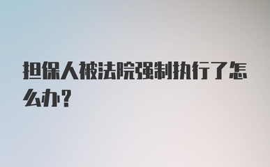 强制执行担保人怎么办