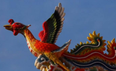 凰五行属什么