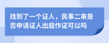 二审申请证人出庭