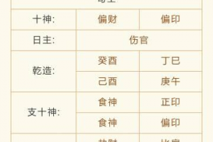 女命伤官格什么意思