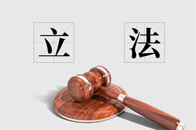 诉讼方