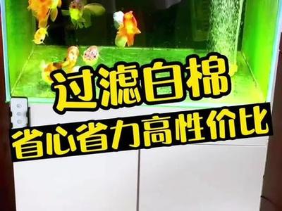 邢臺魚缸售后維護(hù)電話