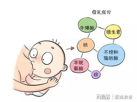新生儿喂养次数