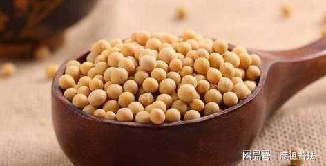 黄豆肥制作方法