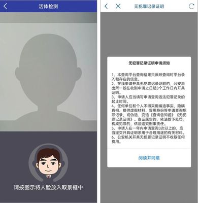 网上怎么查犯罪记录