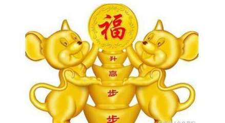 属鼠和属鸡的配吗