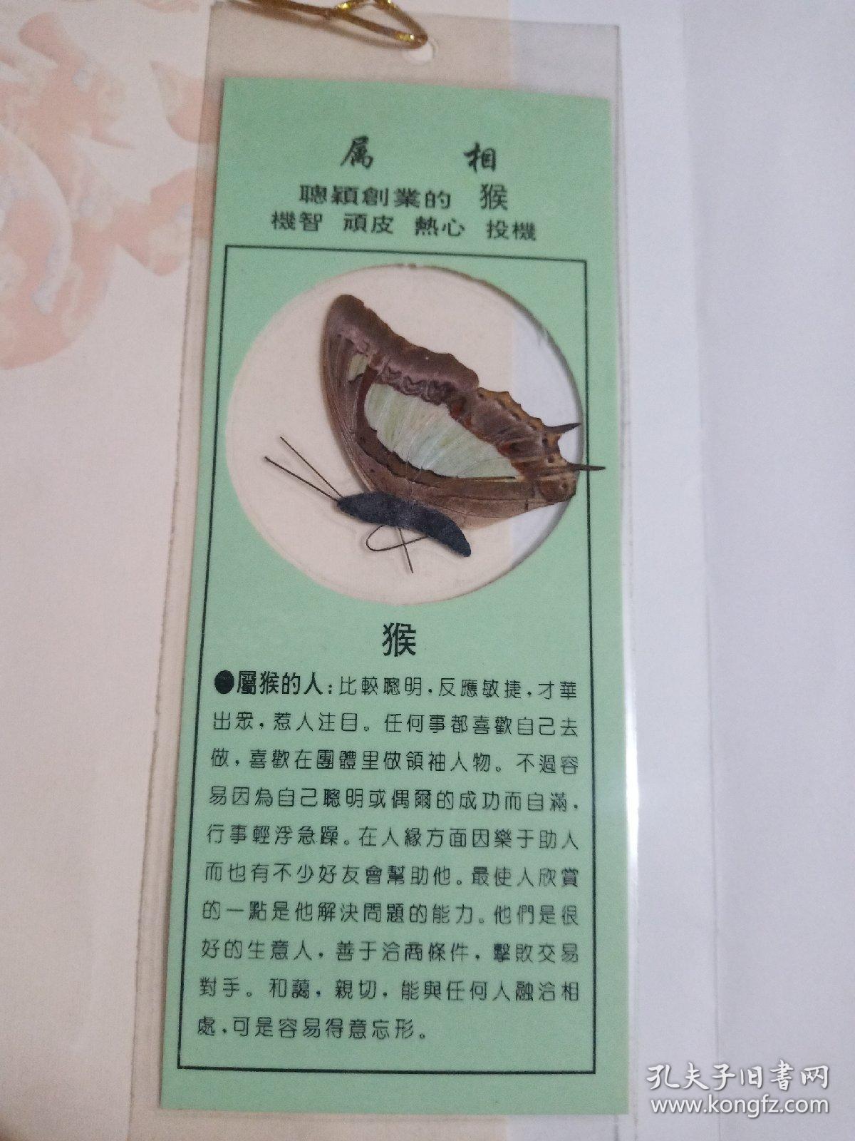 蝴蝶正确代表什么生肖