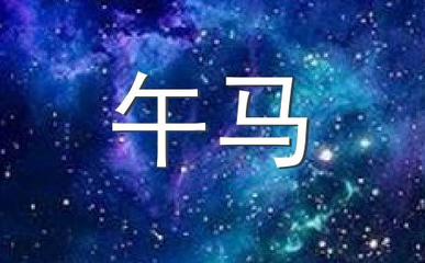 碰代表什么生肖