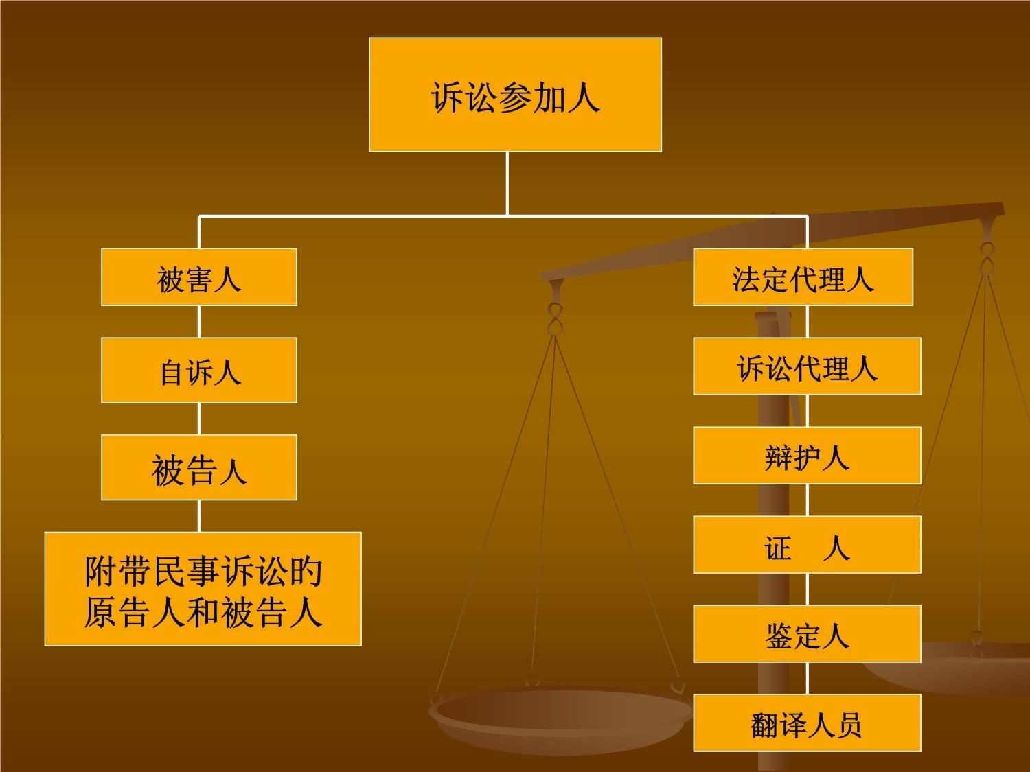 诉讼代理人与辩护人的区别