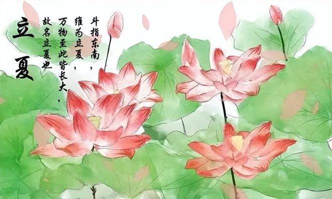 斗指哪个生肖