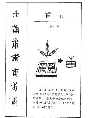 甫字五行属什么