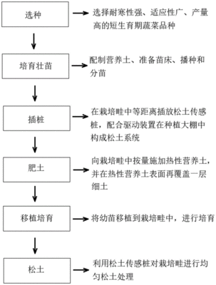 农业大棚流程图怎么画