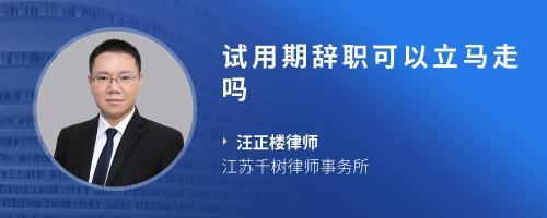 试用期不想干了