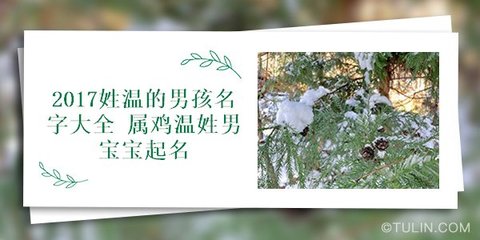 温姓男宝宝起名大全
