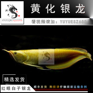 威海魚缸定制哪家好啊價格