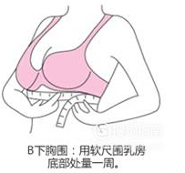 胸围abcd怎么分大小