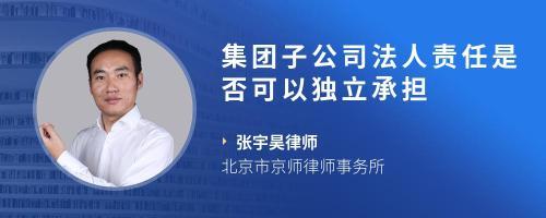 子公司是独立法人吗