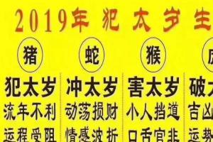 49岁今年属什么生肖