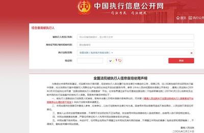 全国执行网信息查询