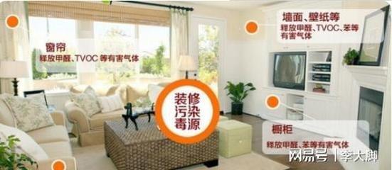 新房子除甲醛