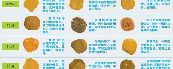 新生儿一天拉多少次