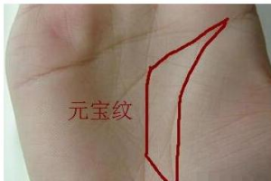 元宝纹手相的命运女人