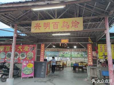 新会是哪里的
