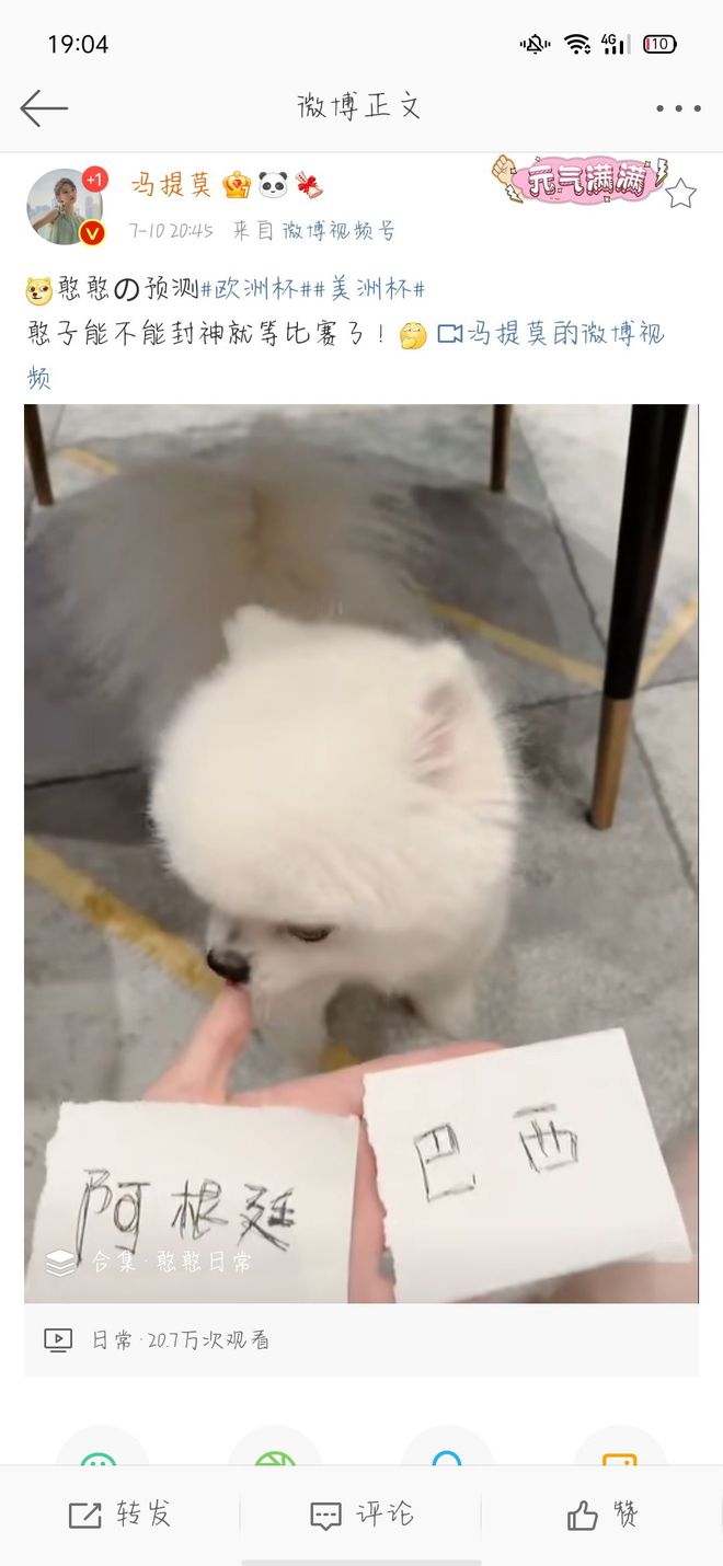 狗取名字