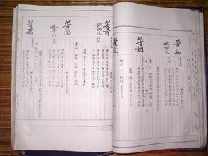 传字辈取名宝典